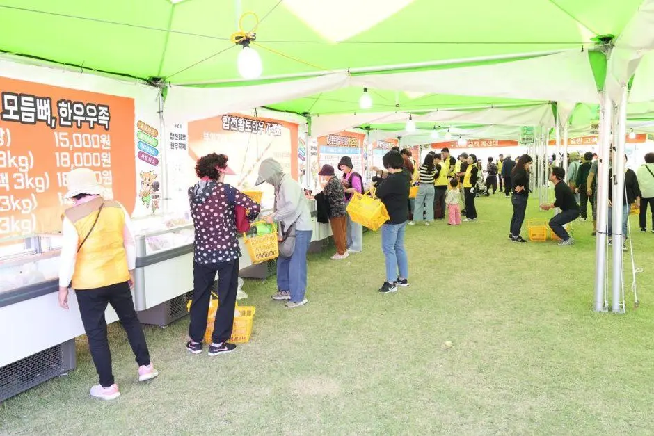 합천황토한우축제 모습 3