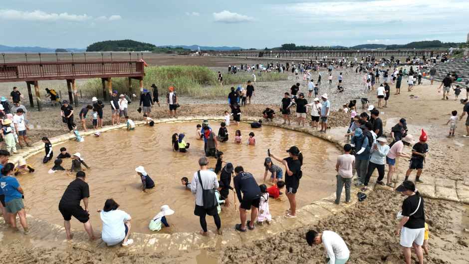 무안 황토 갯벌축제 모습