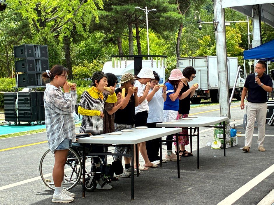 홍천 찰옥수수 축제 모습