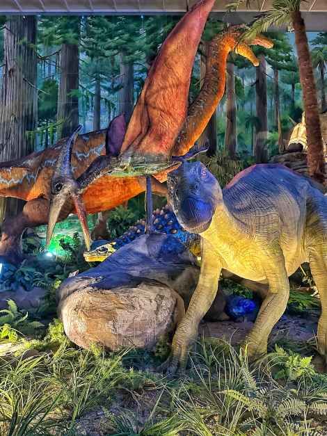 한국관광공사 Gyeongnam Goseong Dinosaur World Expo 5