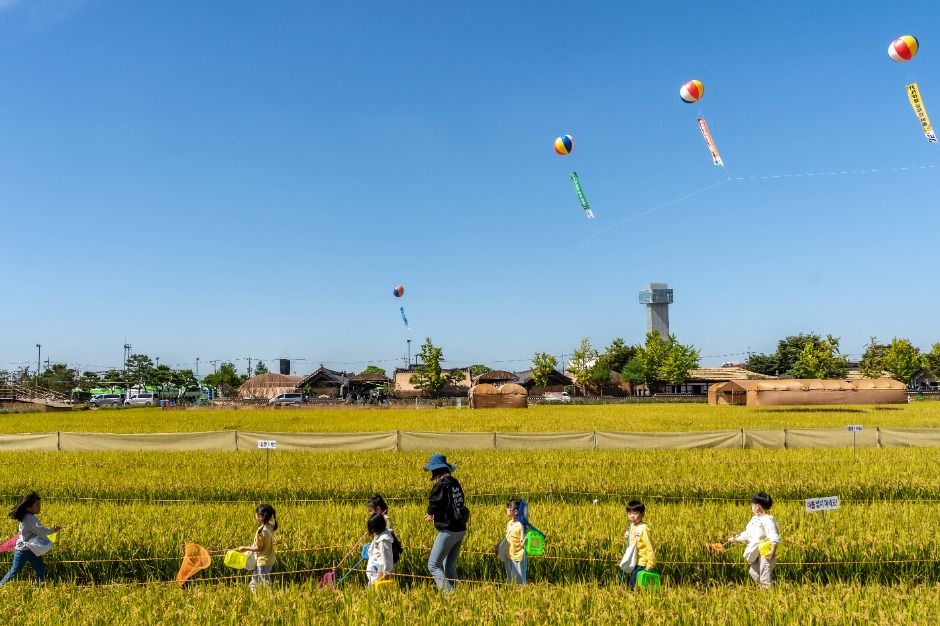 김제지평선축제 모습 2