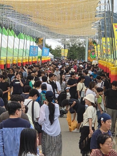 한국관광공사 청원생명축제 모습 5