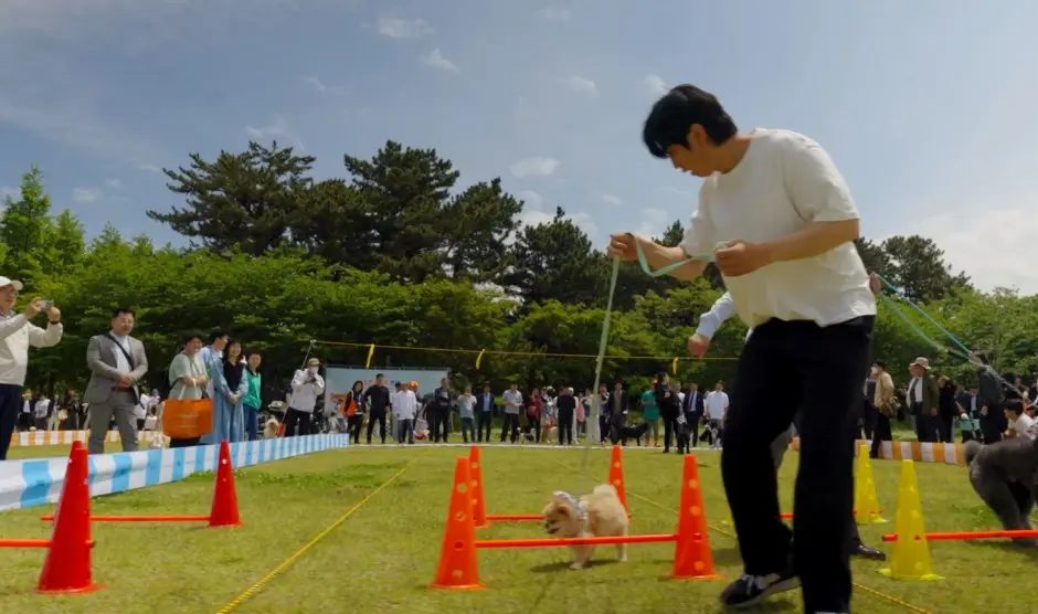 제주 반려동물 문화산업 한마당 모습 2