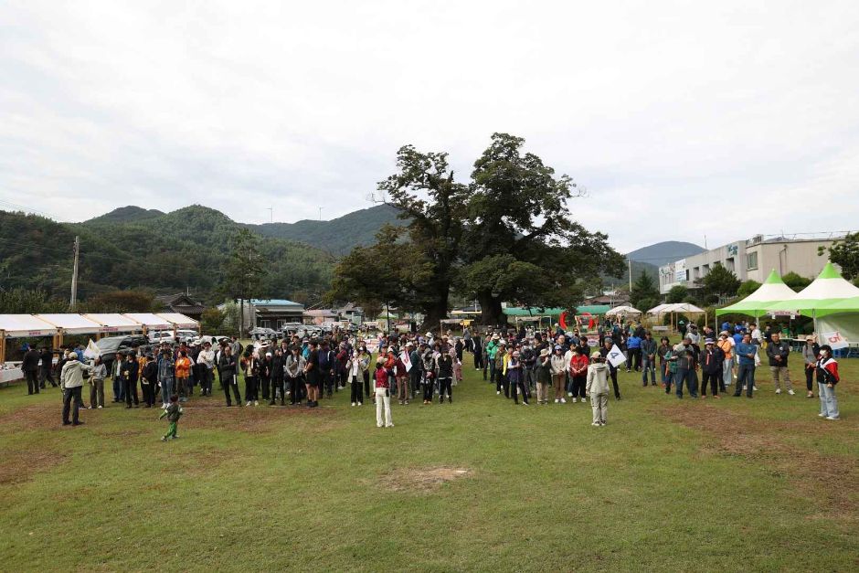 한국관광공사 화순적벽문화축제 모습 3