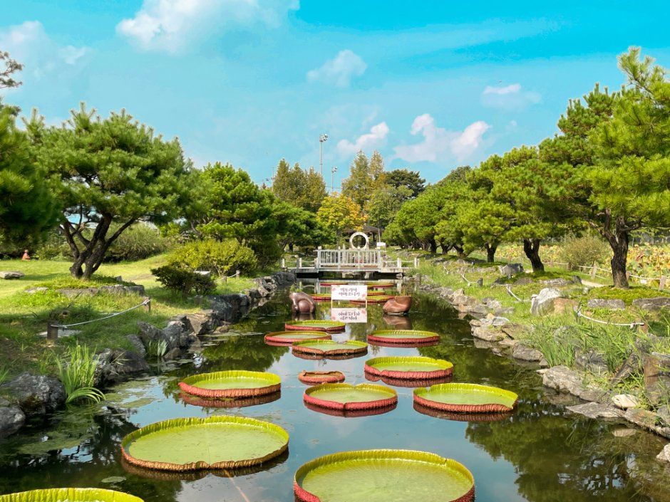 세미원 수련문화제 모습