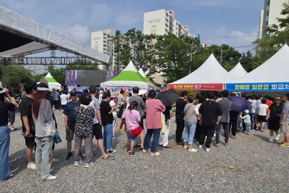 한국관광공사 고양행주한우 숯불구이축제 모습 5