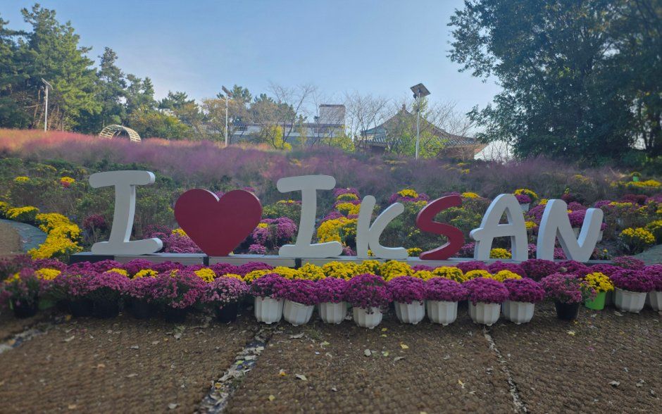 Iksan Ten Million Chrysanthemum Festival 2