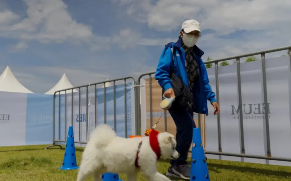 제주 반려동물 문화산업 한마당 모습 3