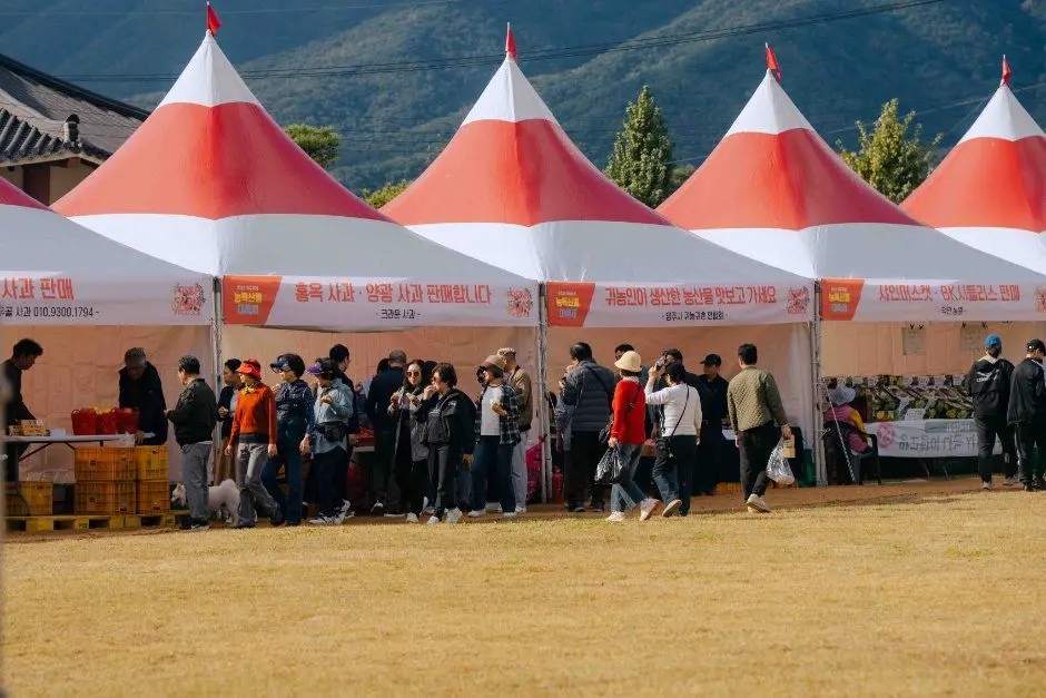 한국관광공사 영주 사과축제 모습 2