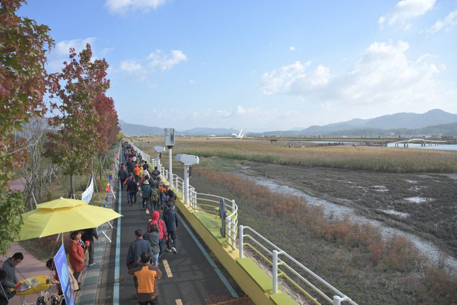 한국관광공사 강진만 춤추는 갈대축제 모습 5