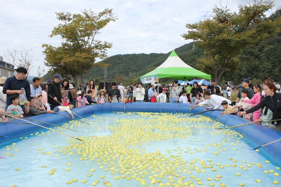 성주가야산황금들녘메뚜기축제 모습