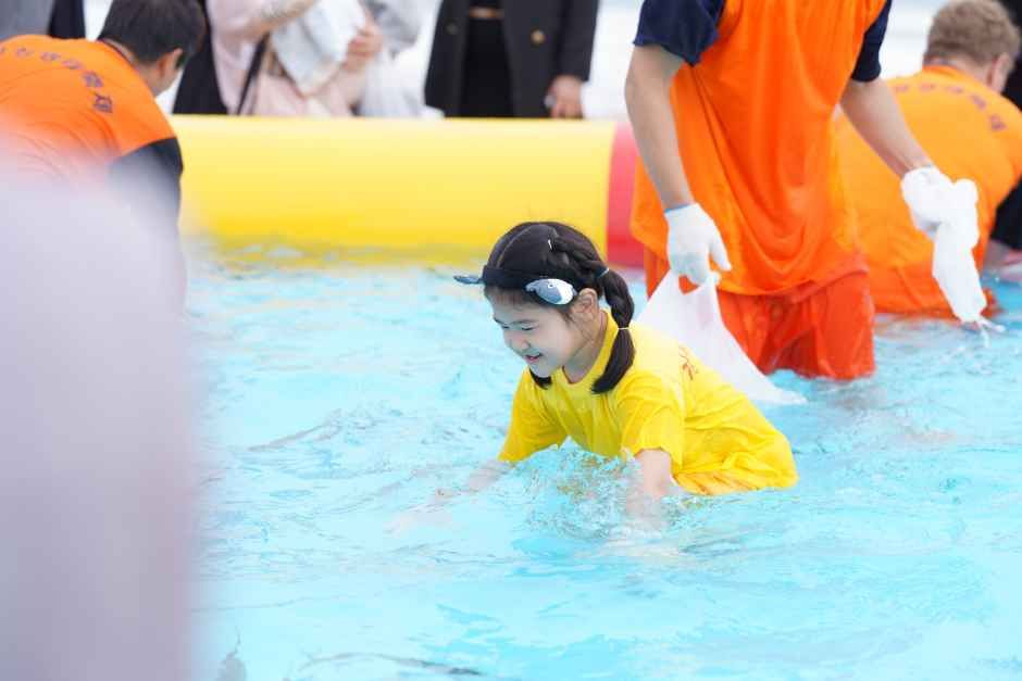 한국관광공사 Goseong Pollack Festival 4