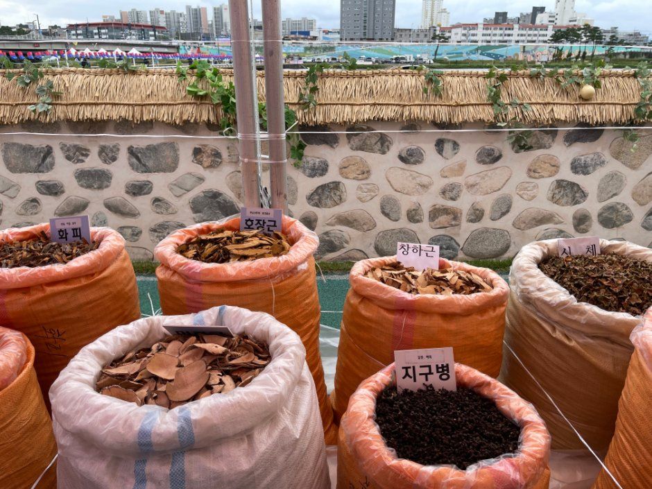 Yeongcheon Oriental Medicine Festival 5
