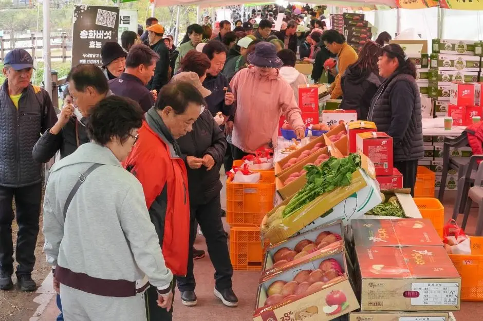 한국관광공사 청춘양구 펀치볼 시래기사과축제 모습 5