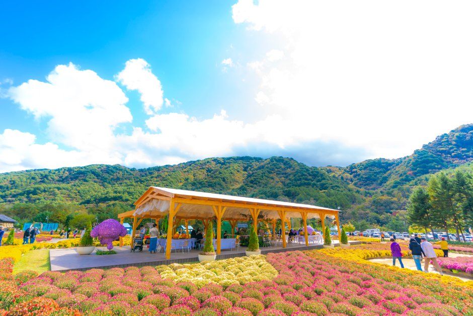 Inje Autumn Flower Festival 5