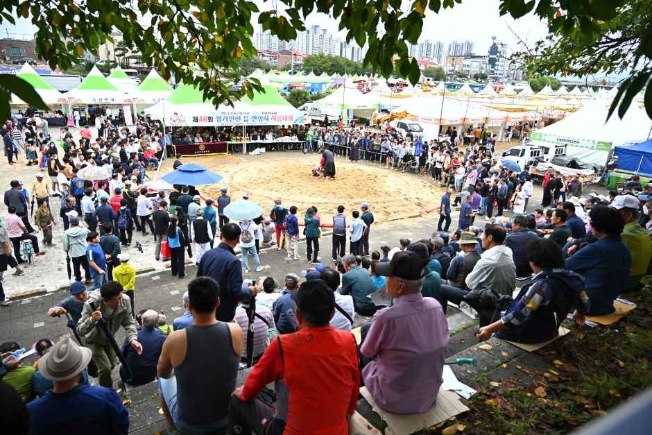 한국관광공사 생거진천 문화축제 모습 2