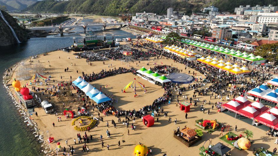 청송사과축제 모습 5
