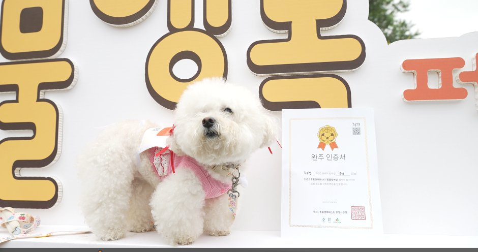동물행복페스타 모습 2