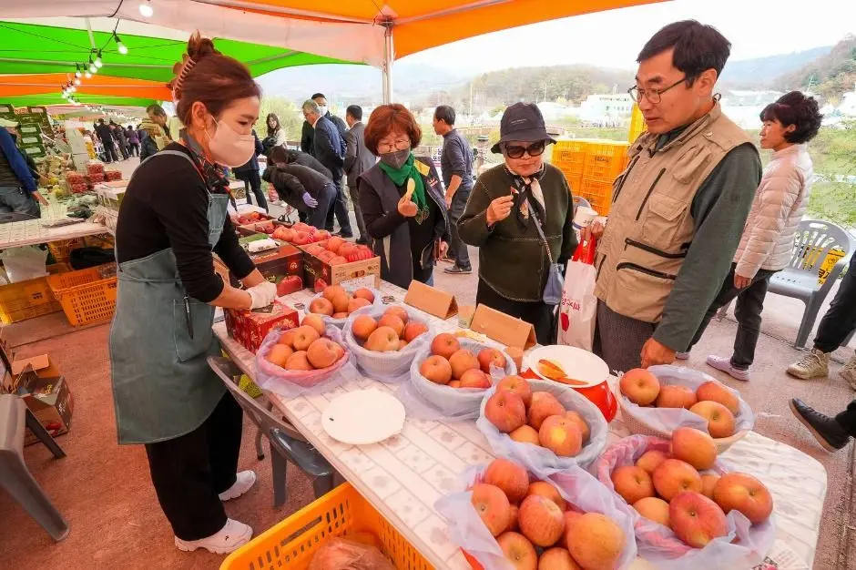 한국관광공사 청춘양구 펀치볼 시래기사과축제 모습 2