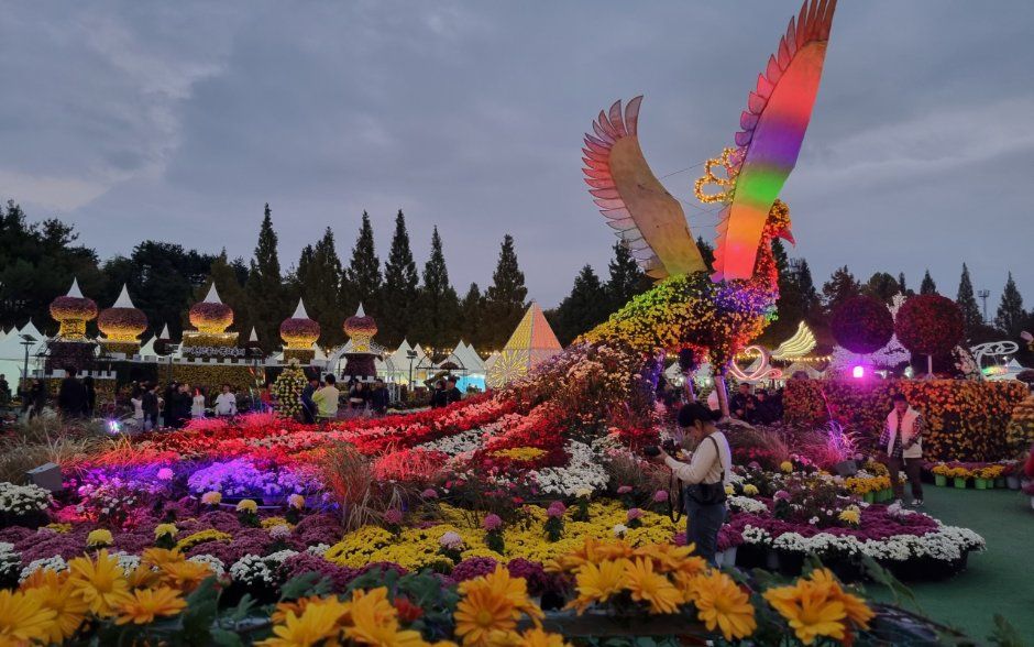 Iksan Ten Million Chrysanthemum Festival 3