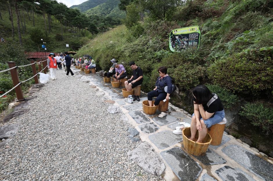 한국관광공사 산청한방약초축제 모습 4