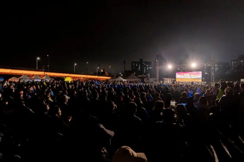 평택 원평나루 억새축제 모습 4