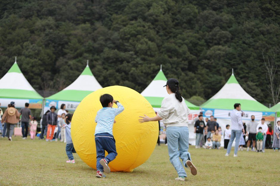 성주가야산황금들녘메뚜기축제 모습 2