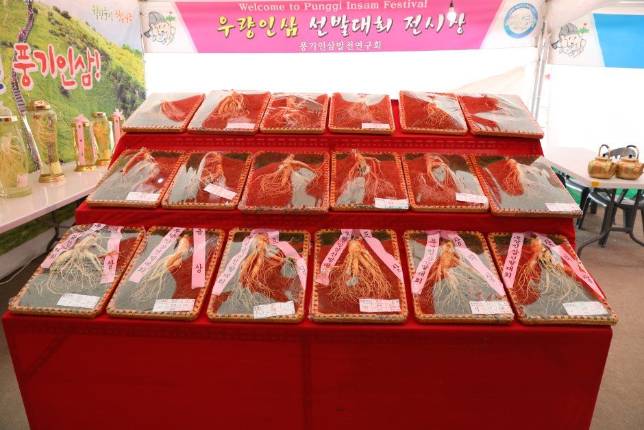 영주 풍기인삼축제 모습